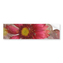 Red Gaillardia Bumper Stickers