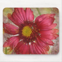 Red Gaillardia Mouse Pads