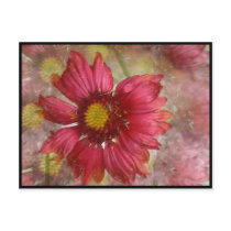 Red Gaillardia Postcard
