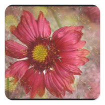Red Gaillardia Stickers