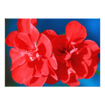 Red garden flowers custom invitation