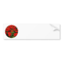Red Geraniums Bumper Sticker