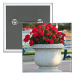 Red geraniums button