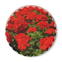 Red Geraniums Magnet