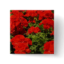Red Geraniums Square Pin
