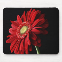 Red Gerber Daisy Mouse Pad