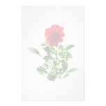 Red Gerbera Daisy Personalized Stationery