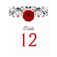 Red Gerbera Daisy Table Number Card Post Card