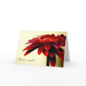 Red Gerbera Thank You Card