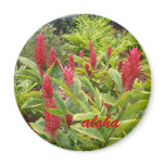 red gingers aloha magnets