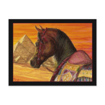 Red & Gold Arabian horse postcard