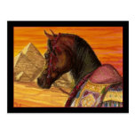 Red & Gold Arabian horse postcard