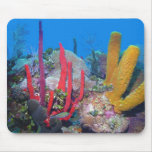 red gold tube reef mousepads