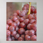 Red Grapes Posters