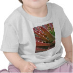 Red-Green Aloe 4 Tee Shirts