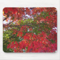 Red & Green Contrast, Leaves mousepads