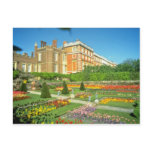 Red Hampton Court, Surrey, England flowers Postcards