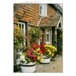 Red Hanging Baskets And Planted Tubs - Calceolaria Greeting Cards