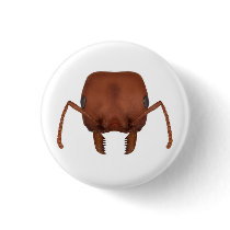 Red harvester ant button