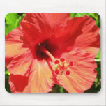 Red Hawaiian Hibiscus Mousepad