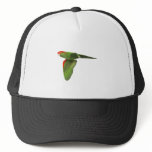 Red-headed Conure Hat