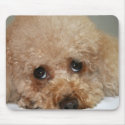 Red Headed Poodle Mouse Pad mousepads