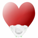 Red Heart With White Roses photo sculptures