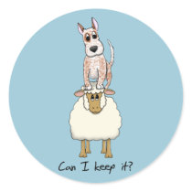 Red Heeler Backing Sheep