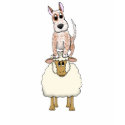 Red Heeler Backing Sheep t-shirts