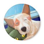 Red Heeler Cuddling Frog Painting magnets