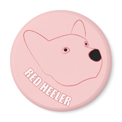 Red Heeler Refrigerator Magnets by boldhumor