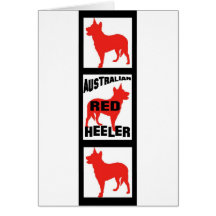 Red Heeler Movie Film Strip Greeting Card