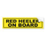 Red Heeler on Board