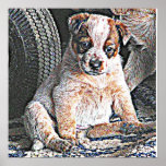 Red Heeler Puppy Poster posters