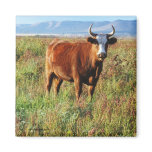 Red Hereford Mama Cow Horns Wildflowers Fields magnets