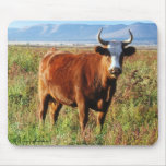 Red Hereford Mama Cow Horns Wildflowers Fields mousepads