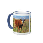 Red Hereford Mama Cow Horns Wildflowers Fields Mug