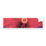 Red Hibiscus Flower Painting - Multi bumper stickers