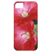 Red Hibiscus Hawaiian Flowers Petals iPhone 5 Cover