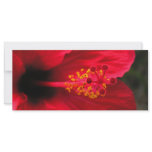 Red hibiscus rack cards