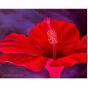 Red Hibiscus Tropical Flower Painting - Multi photo sculptures