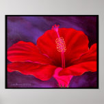 Red Hibiscus Tropical Flower Painting - Multi Poster