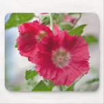 Red hollyhock (Althaea rosea) Mousepad
