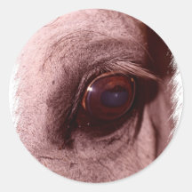 Red Horse Design Round Sticker