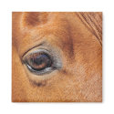 Red Horse Eye magnets