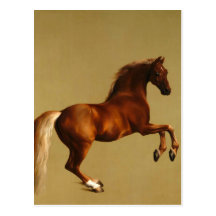 RED HORSE POSTCARDS