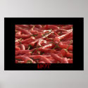 Red hot Chilies Poster posters