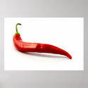 Red Hot Chilli Pepper Poster posters