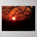 Red Hot Sunset Poster posters