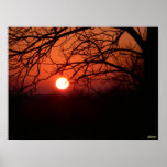 Red Hot Sunset Poster posters